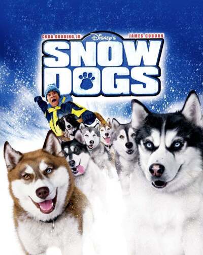 ზამთრის ძაღლები ქართულად - Snow Dogs