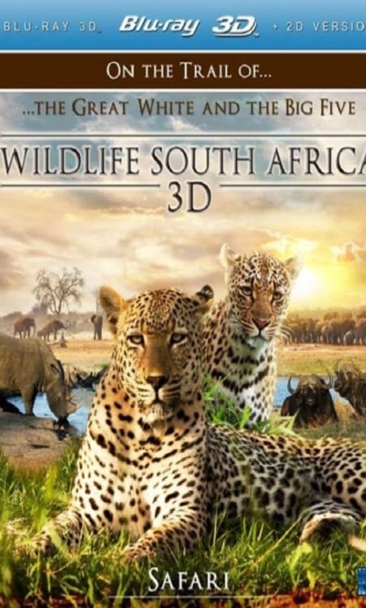 სამხრეთ აფრიკის ველური ბუნება ქართულად - WILDLIFE