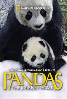 პანდები: შინ დაბრუნება ქართულად - Pandas: The