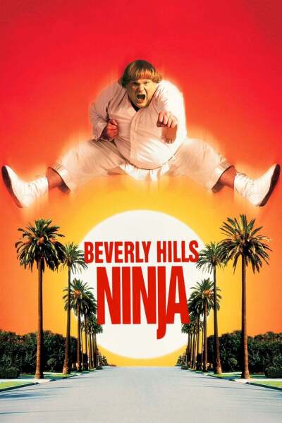 ნინძა ბევერლი ჰილზიდან ქართულად - Beverly Hills