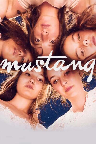მუსტანგი ქართულად - Mustang