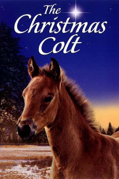 საშობაო კვიცი ქართულად - The Christmas Colt
