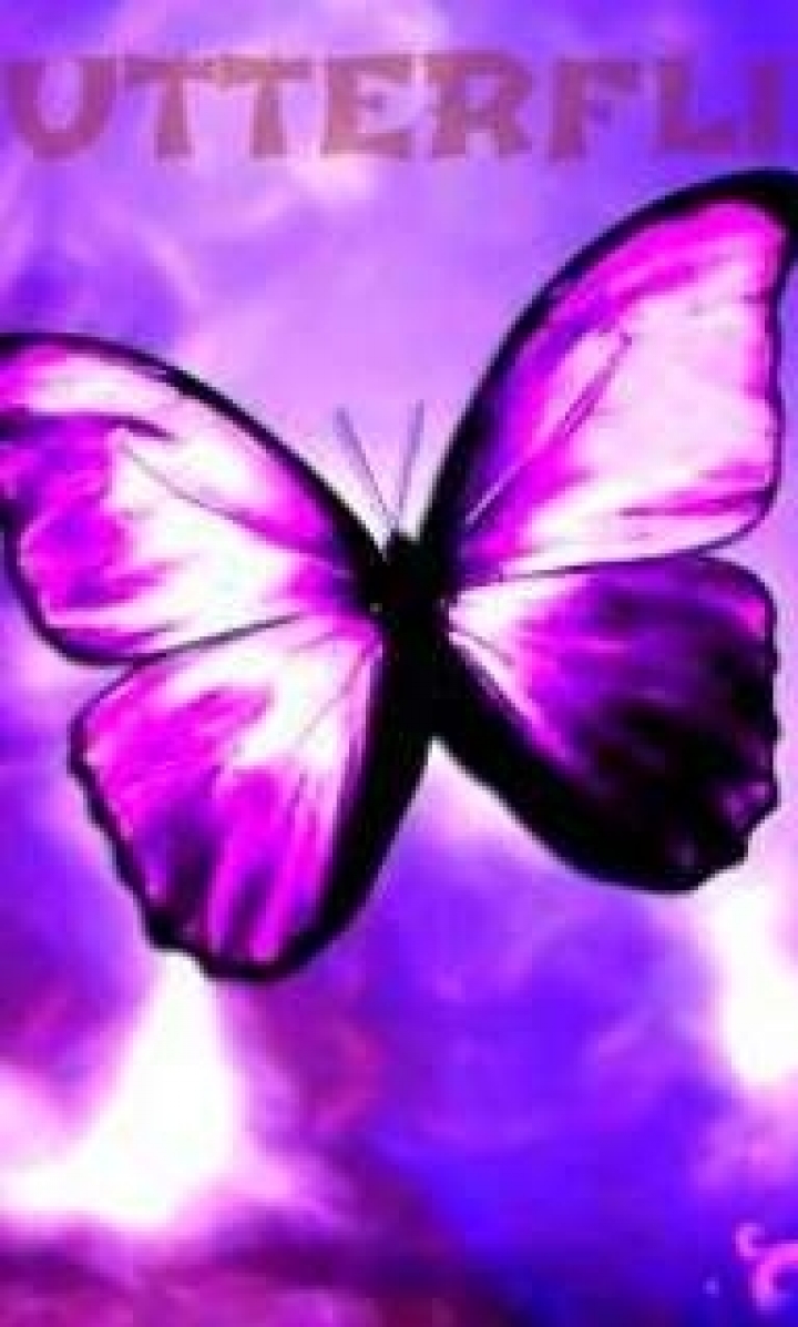 პეპლები ქართულად - BUTTERFLIES