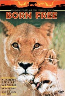 დაბადებული თავისუფლად ქართულად - Born Free