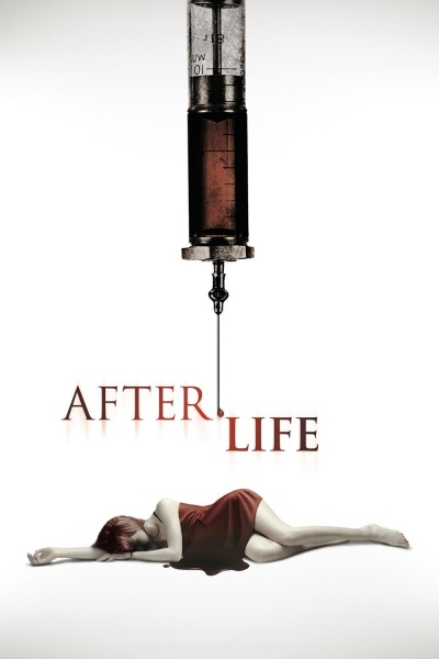 სიცოცხლის შემდეგ ქართულად - After.Life