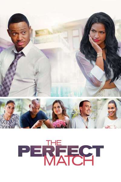 შესანიშნავი წყვილი ქართულად - The Perfect Match