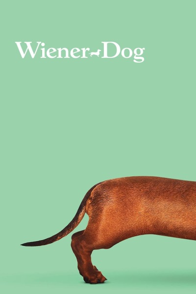 ტაქსა ქართულად - Wiener-Dog