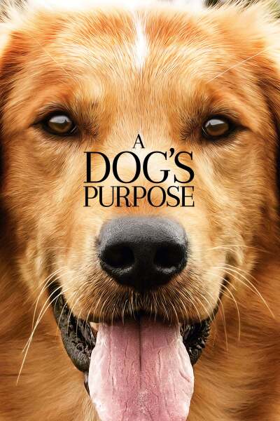 ძაღლური ცხოვრება ქართულად - A Dogs Purpose