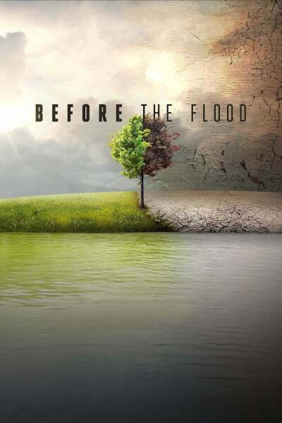 წყალდიდობამდე ქართულად - Before the Flood