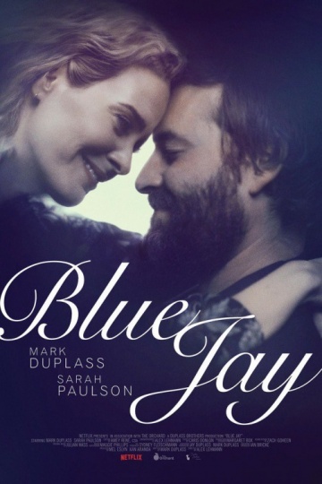 კაჭკაჭჯაფარა ქართულად - Blue Jay