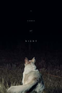 ის მოდის ღამით ქართულად - It Comes at Night