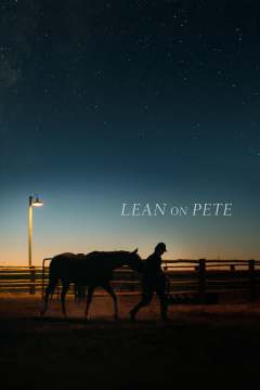 ქონდეთ პიტის იმედი ქართულად - Lean on Pete
