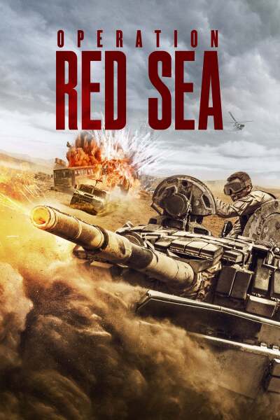 ოპერაცია წითელი ზღვა ქართულად - Operation Red Sea