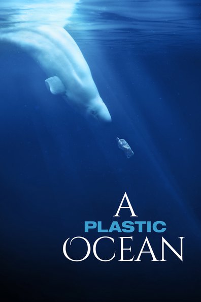 პლასტიკური ოკეანე ქართულად - A Plastic Ocean