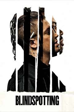 ბრმა მხარეები ქართულად - Blindspotting