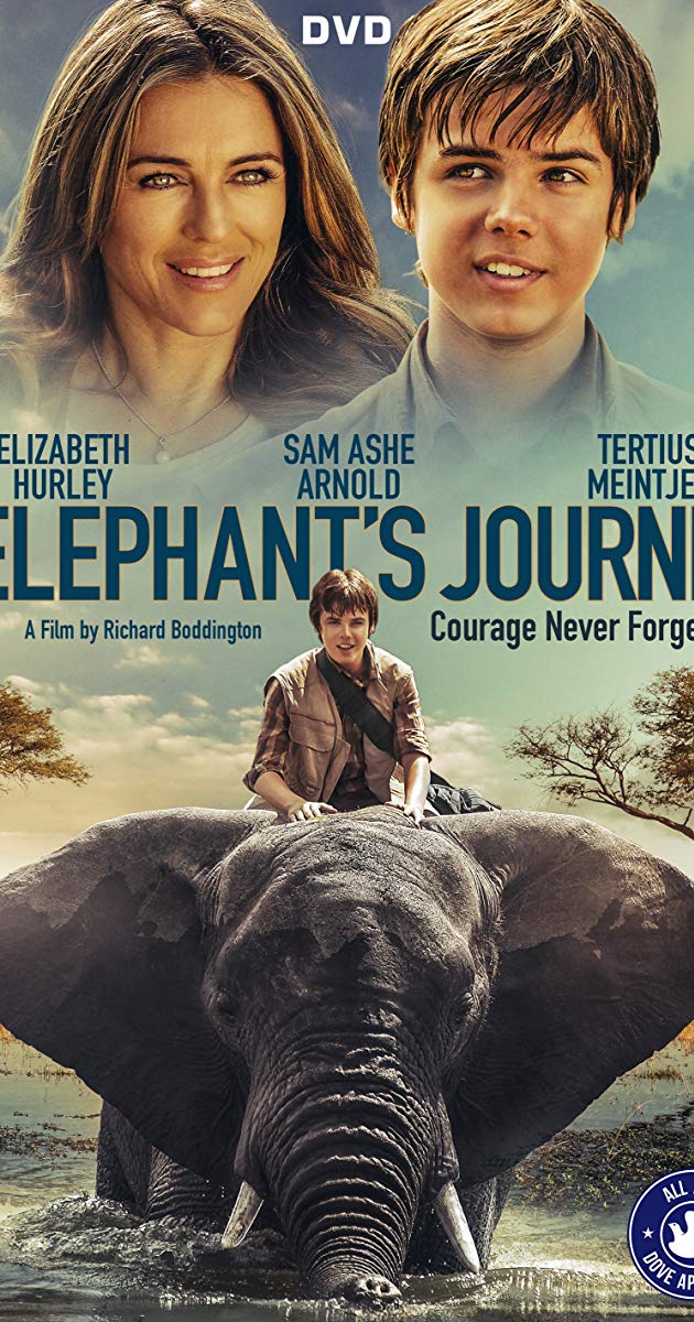 სპილოს თავგადასავალი ქართულად - An Elephants