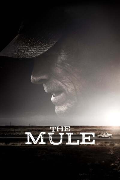 ნარკოკურიერი ქართულად - The Mule