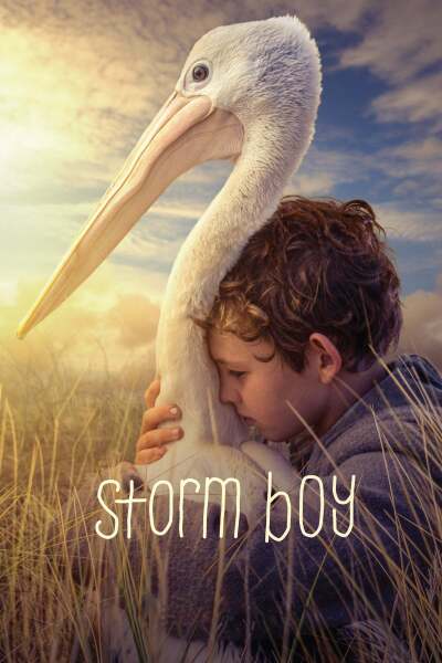 ბიჭი-გრიგალი ქართულად - Storm Boy