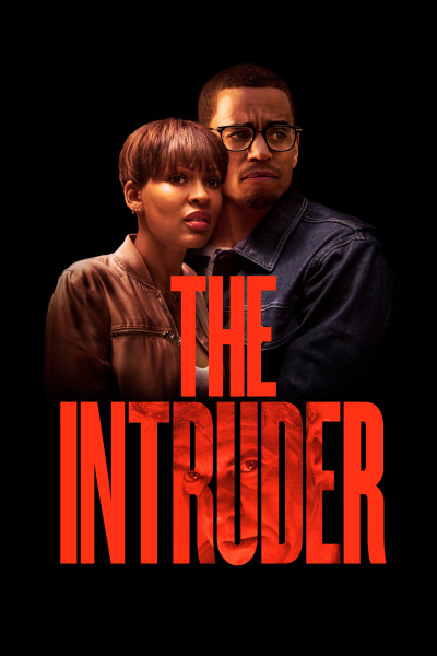 კანონდამრღვეი ქართულად - The Intruder