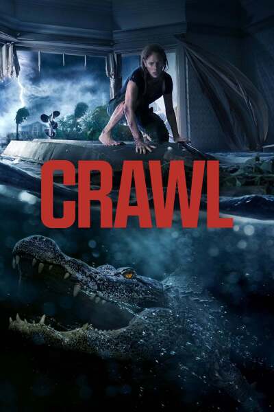ხოხვა ქართულად - Crawl