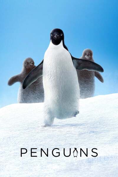 პინგვინები ქართულად - Penguins