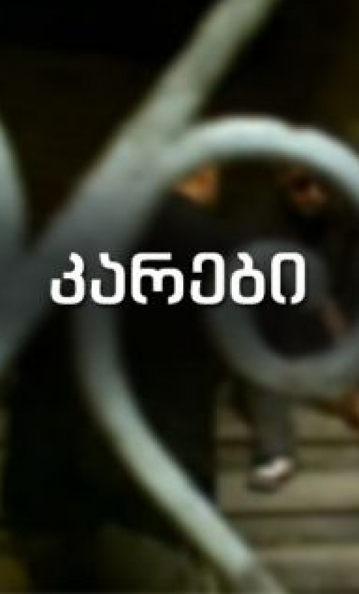 კარები