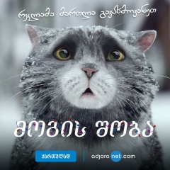 კატა ქართულად - Cat