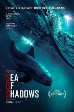 ჩრდილების ზღვა ქართულად - Sea of Shadows