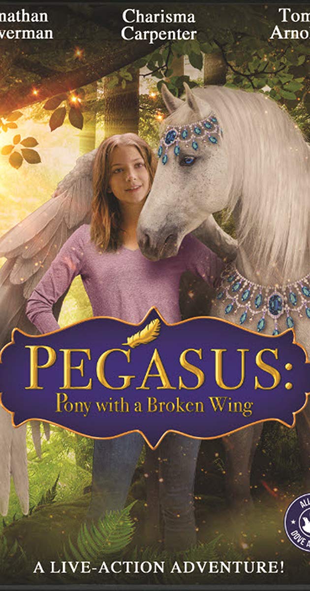 პონი მოტეხილი ფრთით ქართულად - Pegasus: Pony with