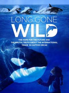 გადარეულები ქართულად - Long Gone Wild