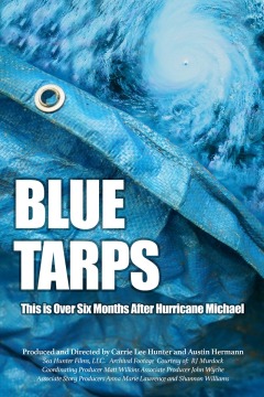 ლურჯი ბრეზენტი ქართულად - Blue Tarps