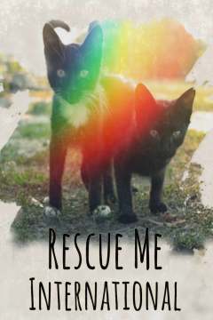 გადამარჩინე ქართულად - Rescue Me: International