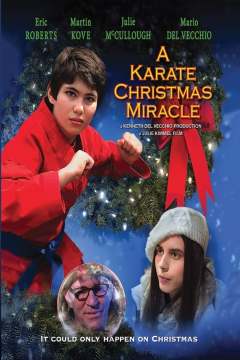კარატე საშობაო სასწაული ქართულად - A Karate