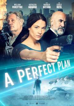 უნაკლო გეგმა ქართულად - A Perfect Plan