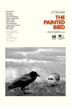 ფერადი ფრინველი ქართულად - The Painted Bird