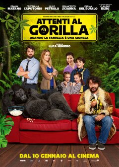 ფრთხილად, გორილა! ქართულად - Beware the Gorilla
