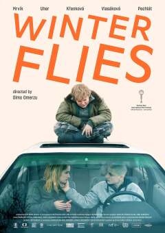 ზამთრის ბუზები ქართულად - Winter Flies