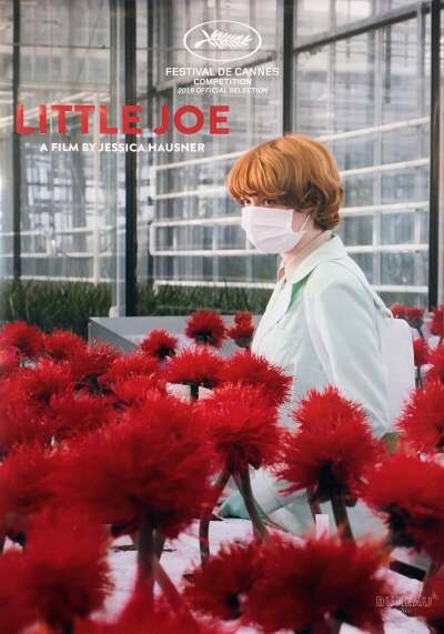 პატარა ჯო ქართულად - Little Joe