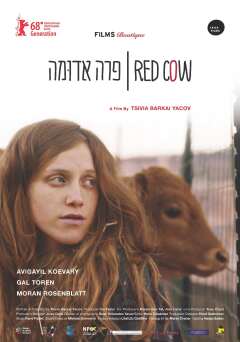 წითელი ხბო ქართულად - Red Cow