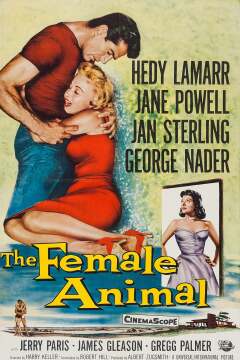 მდედრი ცხოველი ქართულად - The Female Animal