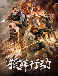 Operation Wolves