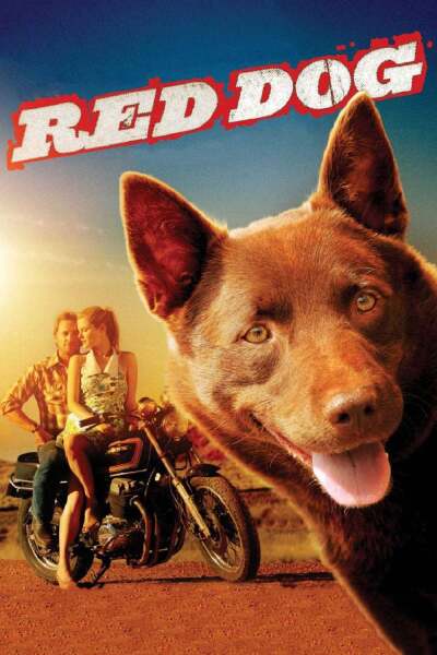 წითური ძაღლი ქართულად - Red Dog