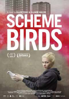 ინტრიგანი გოგონები ქართულად - Scheme Birds