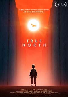 რეალური ჩრდილოეთი ქართულად - True North