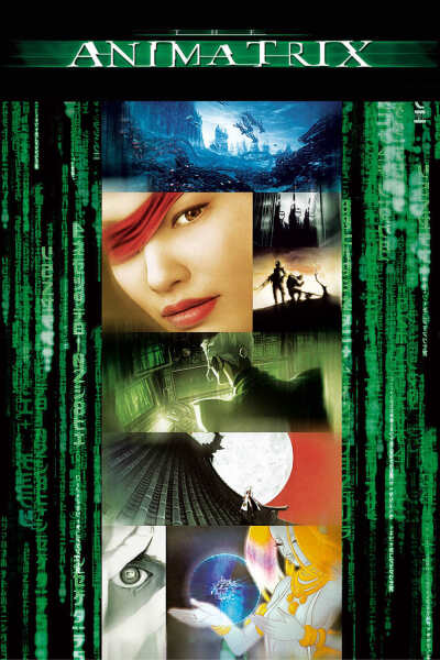 ანიმატრიცა ქართულად - The Animatrix