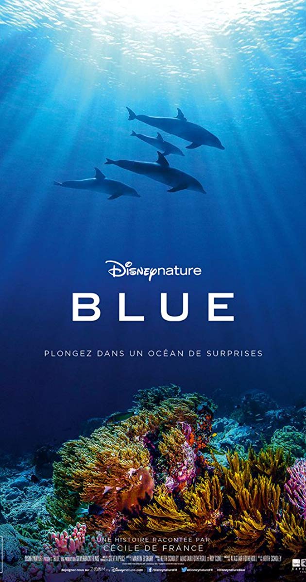 ოკეანე ქართულად - Dolphin Reef