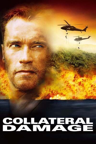 ზარალის ანაზღაურება ქართულად - Collateral Damage