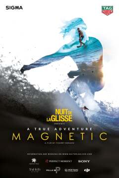 მაგნიტური ძალა ქართულად - Magnetic