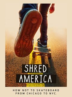 დანაწევრებული ამერიკა ქართულად - Shred America