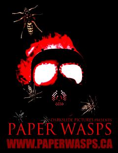 ქაღალდის კრაზანები ქართულად - Paper Wasps